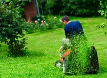 Kwikfynd Lawn Mowing
medindiegardens